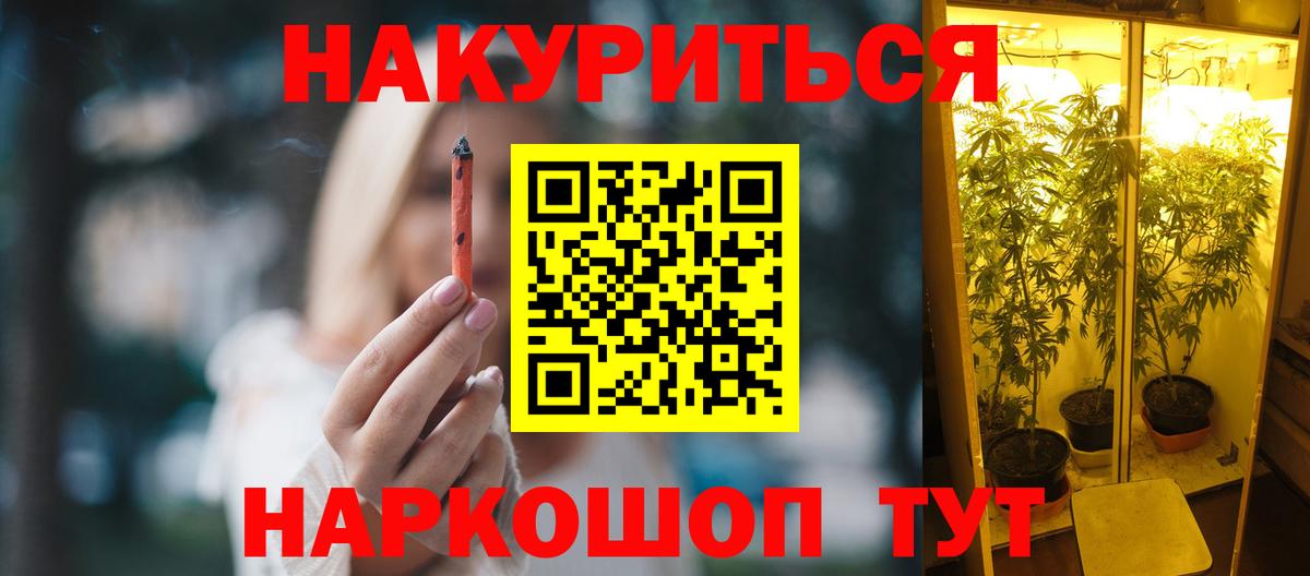 Марихуана гибрид Гудермес